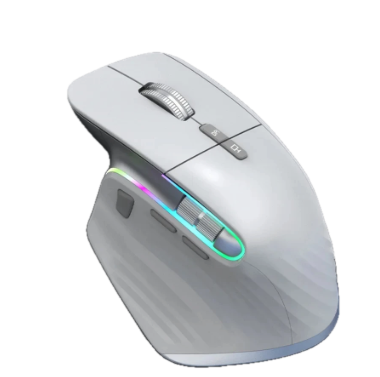 Q-2 Bluetooth Ergonomic Mouse